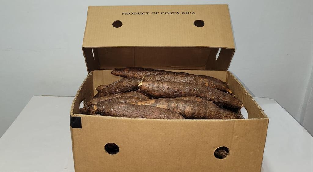 Caja de yuca Costa Rica